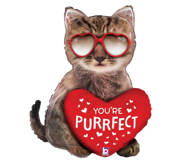 You're Purrfect